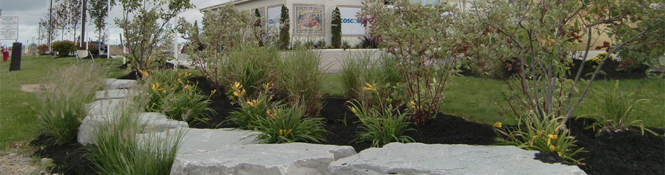 Tamarack Landscaping